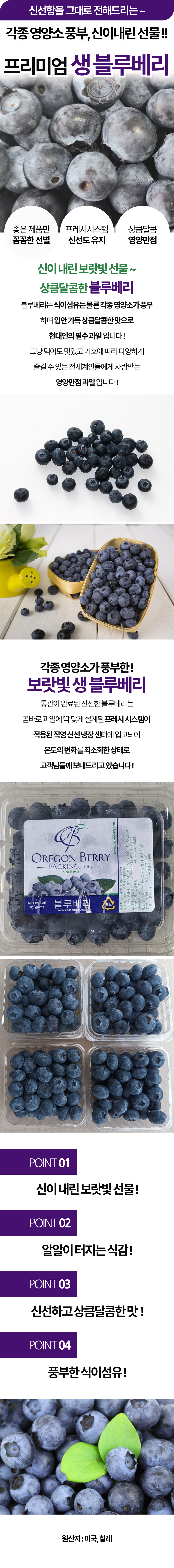 생 블루베리 팩 상세 이미지