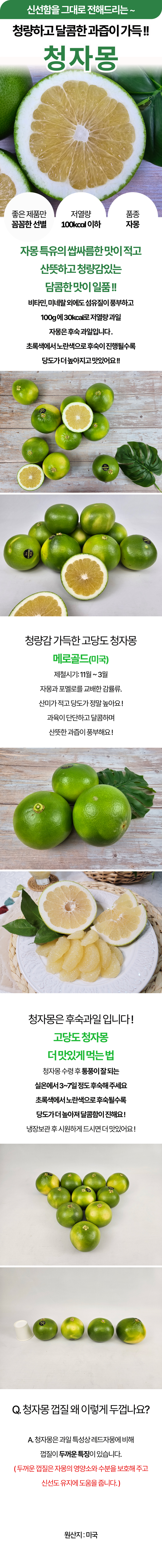 미국산 청자몽 메로골드 상세 이미지