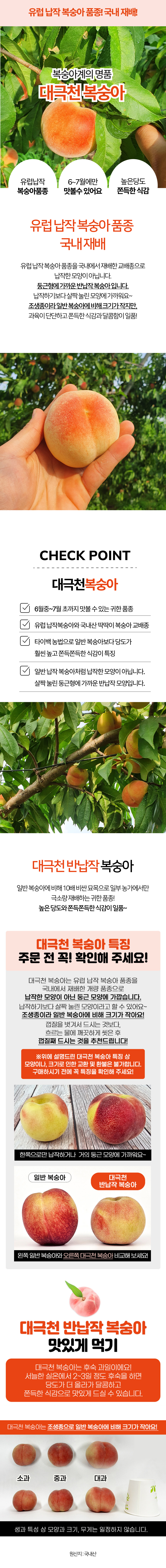 대극천 (반납작복숭아) 상세 이미지